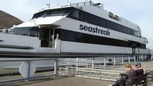 The village plans to review docking fees and policies.