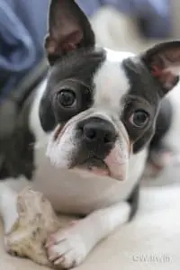 Buster Levi, who has kindly allowed the gallery to use his name.  (Photo by Martee Levi)