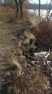 The $75,000 pilot project will detail methods for fighting shoreline erosion that threatens Dockside Park.