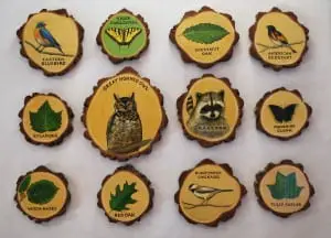 Samples of the newly designed trail plaques, created by artist Stacey Farley. Each will be on display throughout the Trail of Discovery, identifying various flora, fauna and wildlife.