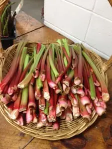 All this could be fresh from your garden. (Photo by P. Doan)