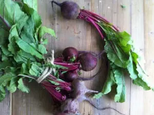 beets