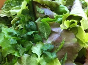 herb salad 1