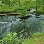 AâfrothyâCloveâCreekâcoursesâalongâMillâRoad.âPhotoâbyâL.S.âArmstrong