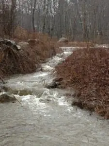 TwoâresidentsâcalledâtheâTownâBoard'sâattentionâtoâfloodingâinâtheâUplandâDriveâarea,âshownâhere.âPhotoâcourtesyâofâKathleenâKourie
