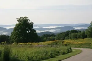 LWLA_Meadow04