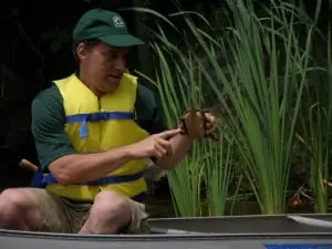Canoe trips highlight the local flora and fauna.