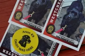 Daisyâ
hasâ
herâ
ownâ
sportsâ
card.â
Yellowâ
coinsâ
areâ
usedâ
toâ
markâ
locationsâ
whereâ
sheâ
findsâ
evidenceâ
atâ
aâ
fireâ
scene.â