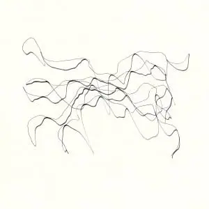 41ºN30"22' -73ºW57"54 by Susan Walsh