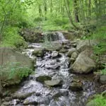 Eco programs encourage children to play and learn in the outdoors. File photo
