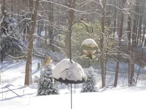 Seed and nut feeders in winter can help birds survive when food is scarce. (Photo by P. Doan)