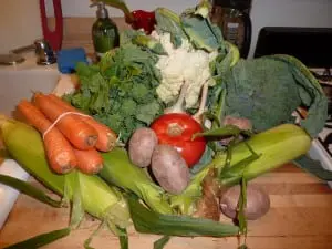 Food and other materials that can be composted and recycled accounts for 35 million tons in landfills annually. (Photo by P. Doan)