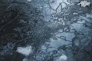 "Ice,â
1"â
photographâ
byâ
Matthewâ
Reinholdâ