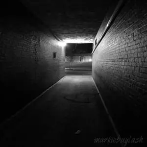Aâ
shadowyâ
alleyâ
inâ
Beaconâ
—â
aâ
favoriteâ
subjectâ
forâ
Baylash