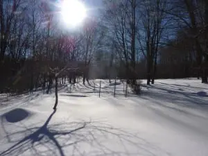 It's hard to imagine right now but there is a garden waiting under all that snow. (Photo by P. Doan)
