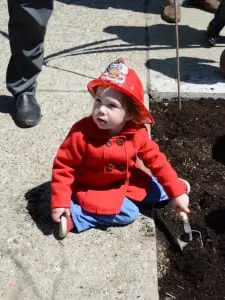 Trowelingâ
awayâ
onâ
Arborâ
Day