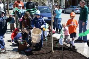 Youngâ
arboristsâ
smoothâ
theâ
groundâ
underâ
theâ
firstâ
tree.