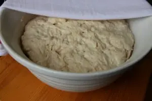 Allow this yeast bread dough to rise twice before dividing and baking.