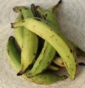 Green plantain