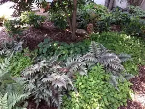 A landscaped area near the front door showcases Sullivan’s love of foliage.