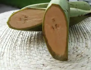 Plantain
