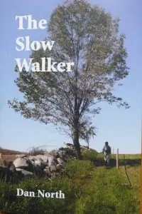 The cover of The Slow Walker