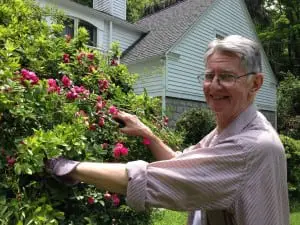 Richard Szypula's roses were originally planted by his family nearly 100 years ago.