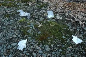 Potential pollution? What appeared to be toilet paper disintegrated in 2007 in oozing ground along the path that runs through the Nelsonville woods, a block off Main Street.