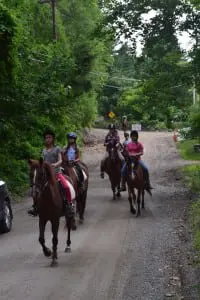 Garrison resident Leona Dushin (not shown) is against  paving the road and brought a mounted contingent to the meeting to highlight her opposition. Photo by Michael Turton