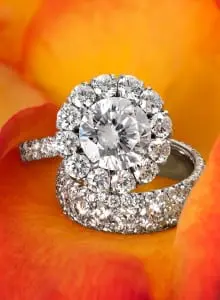 Rings, photographed by Quinn Chandler