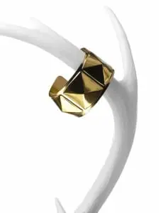 A ring on a branch, photographed by Quinn Chandler