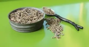 Culinary lavender