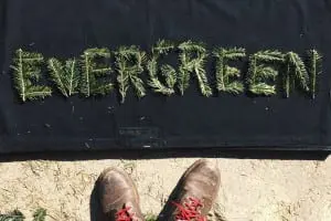 The "Evergreen" logo