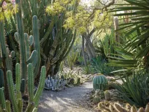 TheâRuthâBancroftâGardenâinâWalnutâCreek,âCalifornia,âinspiredââFrankâCabotâ(photoâbyâMarionâBrenner,âfromâ"OutstandingâAmericanâGardens")