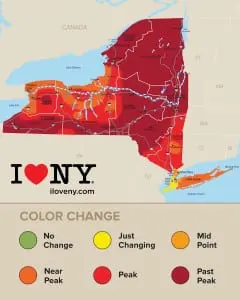 The foliage report for the week of Oct. 21. (Click to enlarge.)
