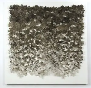 Leaf Lace by Julie Anne Mann (photo provided)