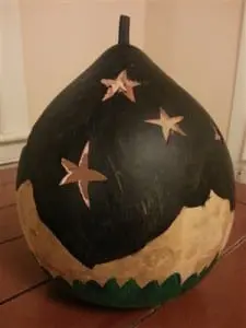 Starry Starry Gourd (photo provided) 