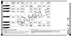 A sample of the ballot that will be presented to voters in Philipstown.