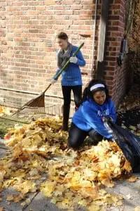 Haldane seventh graders Maria Barry (standing) and Amber Paneto, filling bags with raked leaves, at Butterfield Library as part of service day.  Photo by A. Rooney