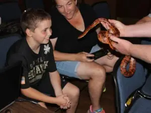 WildlifeâEducatorâCarlâHeitmullerâallowedâkidsâtoâgetâupâcloseâandâpersonalâwithâaâCornâSnake.ââPhotoâbyâA.âRooney 