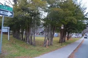 A vacant lot along Cedar Street at Main is the subject of a public hearing on Dec. 17. (Photo by L.S. Armstrong )