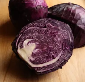 Red cabbage (photo by M.A. Ebner)