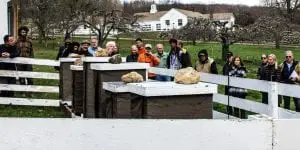 Dow (white-haired, behind hives) answers questions on beekeeping near his established apiary at Glynwood Farm. The hives are strategically located near fruit trees and perennial flower areas. (Photo by A. Peltonen)