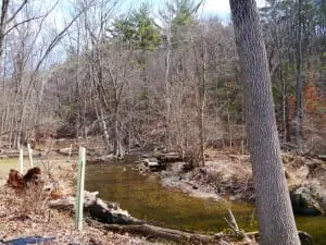 The stream that runs near Lind's office (photo by J. Simms) 