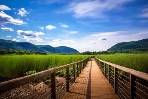 Constitution Marsh (photo by Eric Lind) 