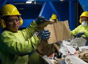 Sorting paper and cardboard at the Beacon facility (photo provided)