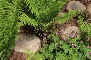 Gardens of Suzanne Willis and Ed Drake. Stepping stones mark the memory of deceased family pets. (Photo by A. Peltonen)