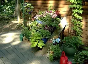 An example of container gardening (photo provided) 
