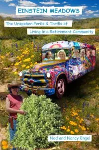 Theâcoverâofâ"EinsteinâMeadows"