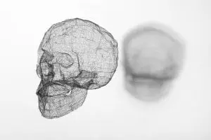 Jayoung Yoon's "The Skull", 2016, human hair. (Photo by Zac Cam Studio)